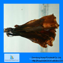 High quality new iqf sea geoduck meat